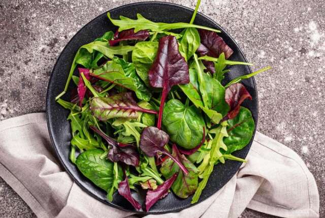 ¿Qué son las PANC? ¿Qué son las PANC?