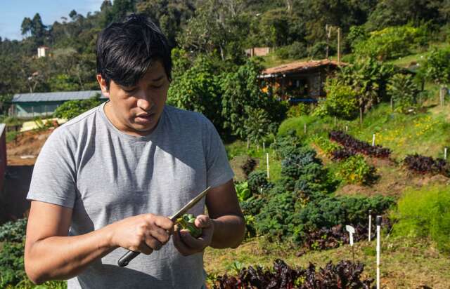 Contar con huertas de confianza para proveer al restaurante Contar con huertas de confianza para proveer al restaurante