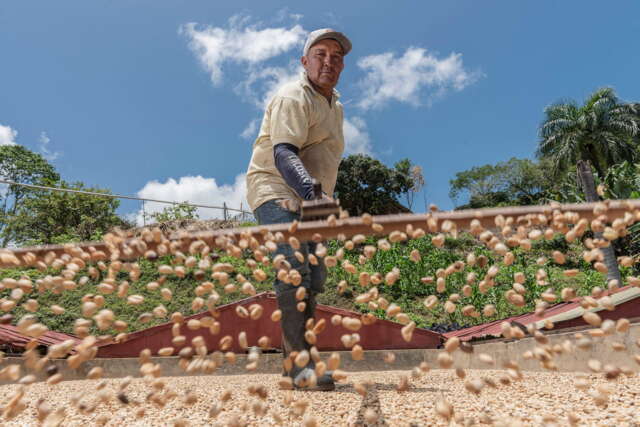 La Dicha de una buena taza de café La Dicha de una buena taza de café