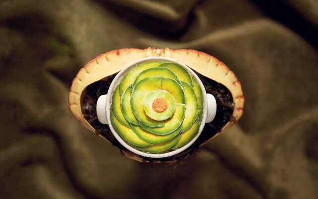 Mario Vallés y la apuesta clásica de Hortensio Mario Vallés y la apuesta clásica de Hortensio