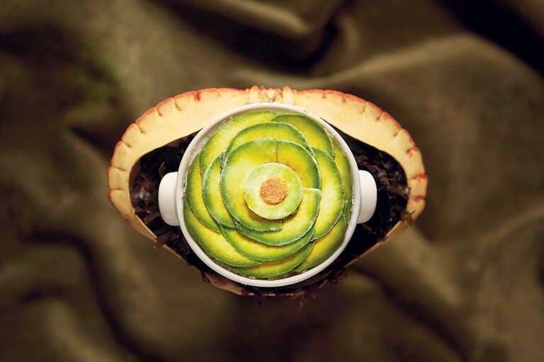 Mario Vallés y la apuesta clásica de Hortensio