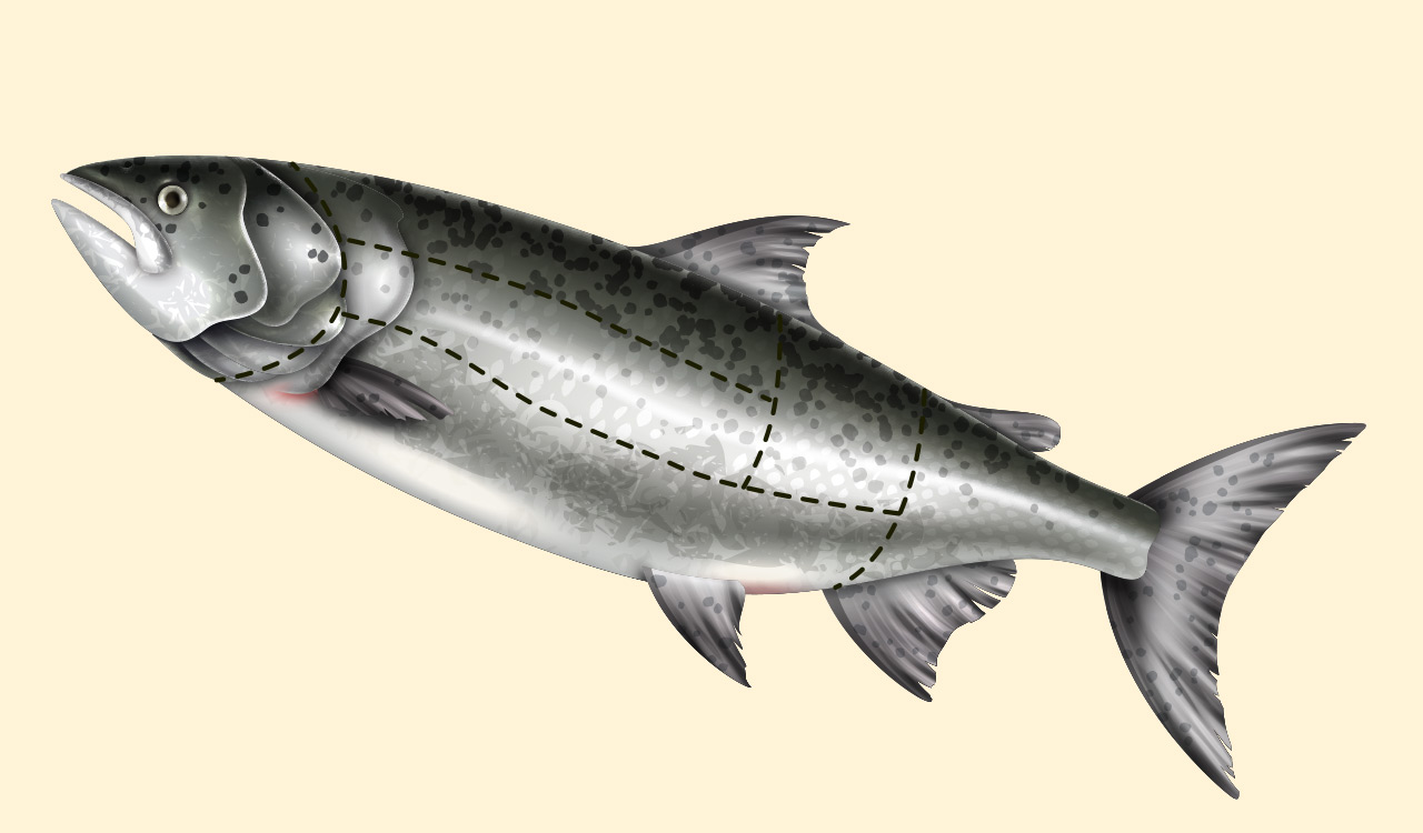 Los cortes del pescado