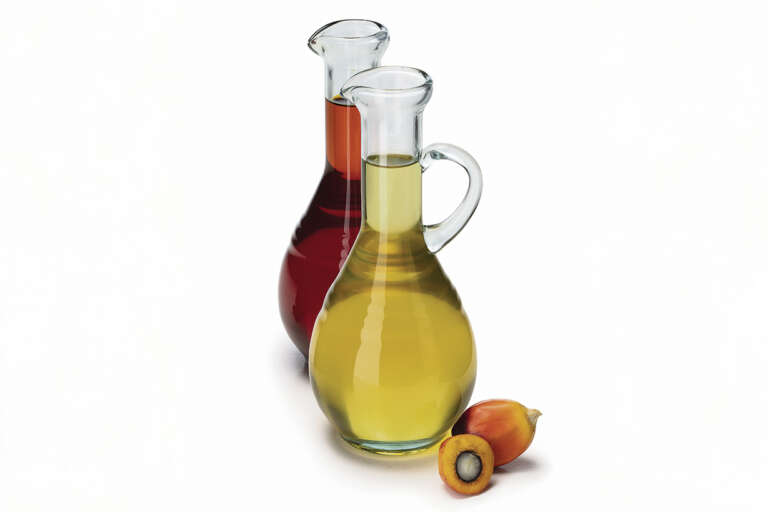 El aceite de palma en Colombia