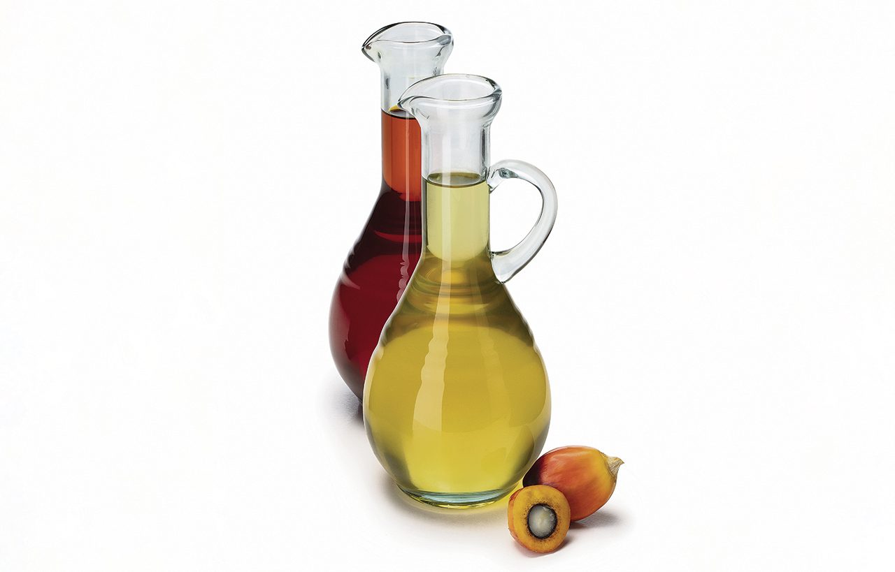 El aceite de palma en Colombia El aceite de palma en Colombia